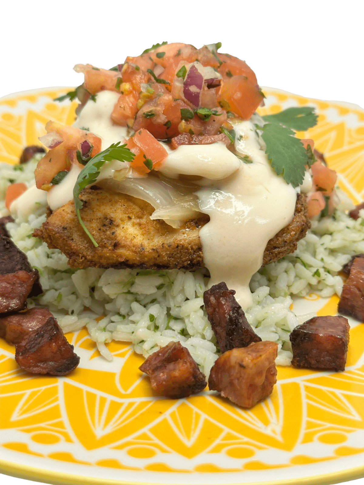 Tex-Mex Chicken with Andouille Sausage and Queso - Whole Body Fuel
